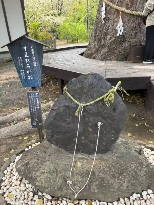 平野神社(京都府)