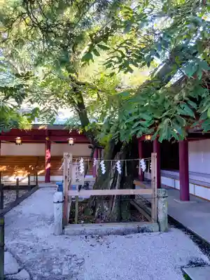 笠間稲荷神社(茨城県)