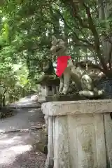 三峯神社の狛犬