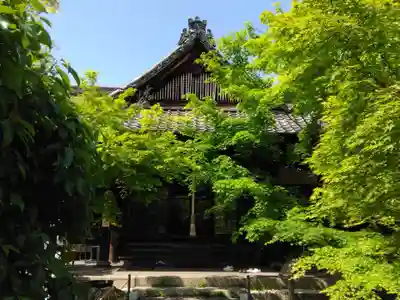 勝林寺(京都府)