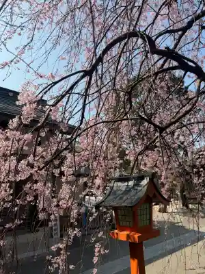 太道教本部の{uncategorized: "未分類", other: "その他", undefined: "問題あり", building: "その他建物", grave: "お墓", sacred_gate: "鳥居", guardian: "狛犬", statue: "像", buddha: "仏像", history: "歴史", nature: "自然", garden: "庭園", animal: "動物", pagoda: "塔", temizu: "手水舎", mountain_gate: "山門・神門", sanctuary: "本殿・本堂", subordinate: "末社・摂社", art: "芸術", scenery: "景色", jizo: "地蔵", ema: "絵馬", goshuin: "御朱印", omikuji: "おみくじ", items: "授与品その他", amulet: "お守り", goshuincho: "御朱印帳", eats: "食事", festival: "お祭り", votive_dance: "神楽", shichigosan: "七五三参", wedding: "結婚式", experience: "体験その他", initially: "初詣", around: "周辺", anti_infection: "感染症対策"}