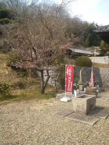 駕龍寺の景色