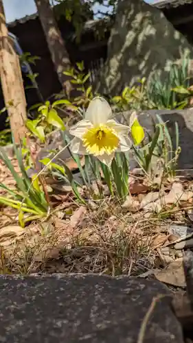 天性寺(京都府)