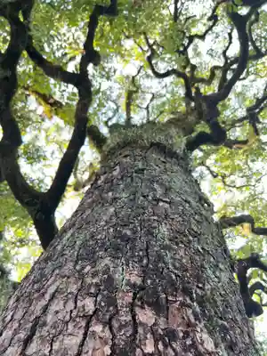 晴明神社(京都府)