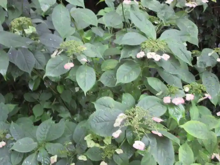 詩仙堂(丈山寺)の庭園