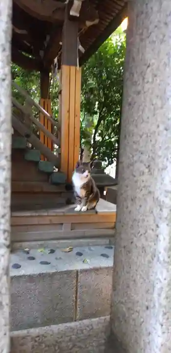 小野照崎神社の動物