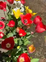 大宮温泉神社(栃木県)