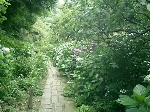 瑞泉寺の庭園