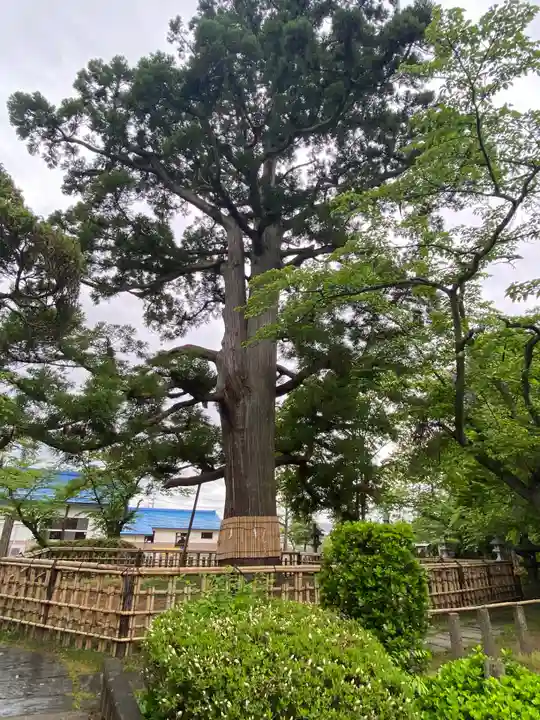 日高神社(岩手県)