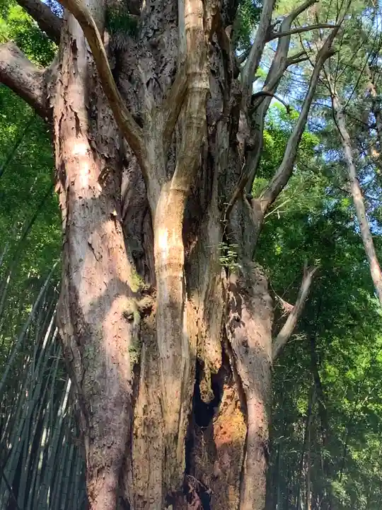 揚源寺(栃木県)