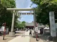 浅草神社の鳥居