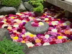 岡寺（龍蓋寺）(奈良県)