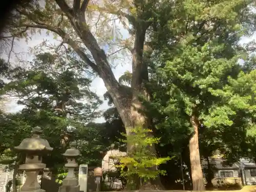 五霊神社(神奈川県)