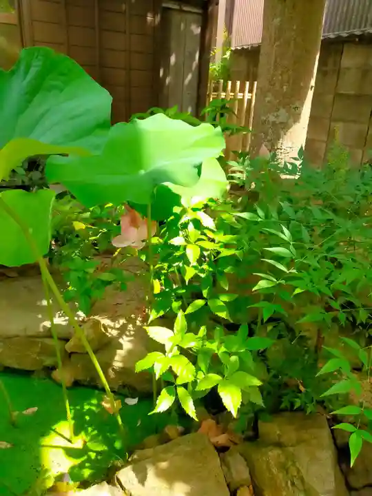 専明寺(奈良県)