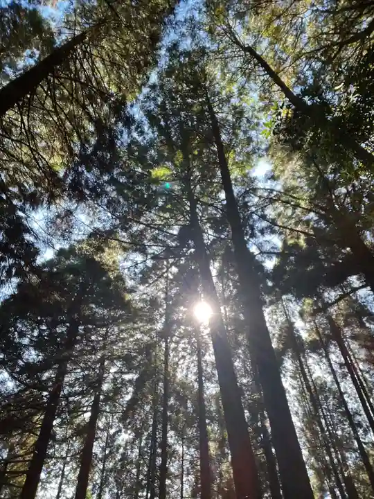 幣立神宮(熊本県)