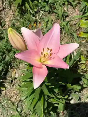 秋葉總本殿可睡斎(静岡県)