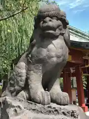 浅草神社の狛犬