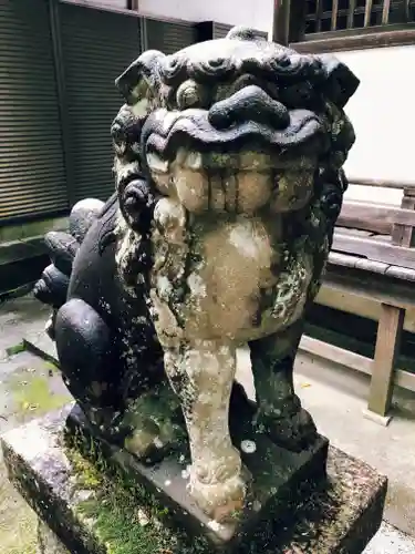 白髭神社の狛犬