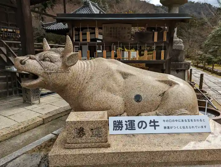 三室戸寺(京都府)