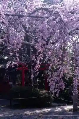 水火天満宮(京都府)