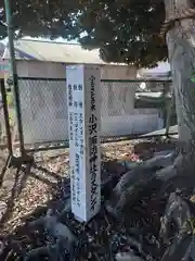 諏訪神社(神奈川県)