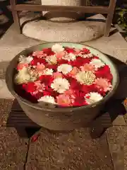 草加神社(埼玉県)