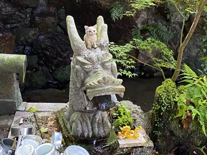 お松大権現(徳島県)