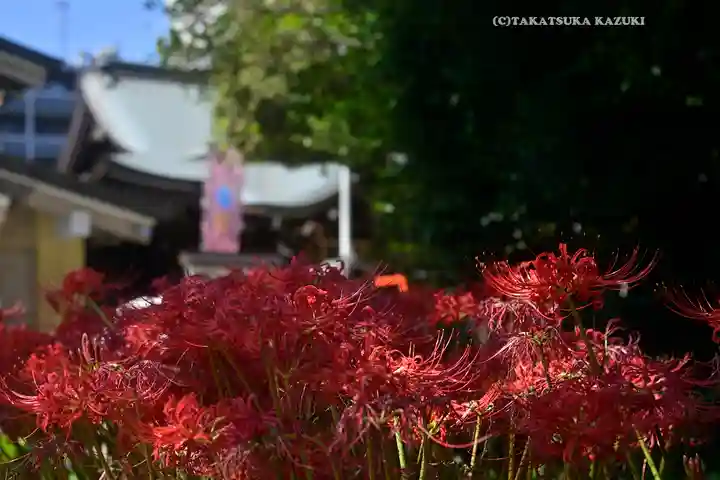 磐井神社(東京都)