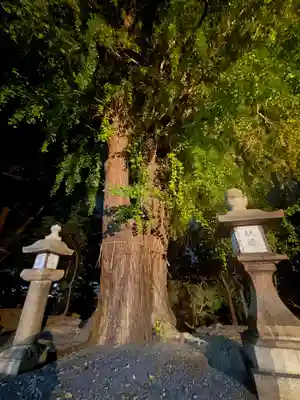 三栖神社(京都府)