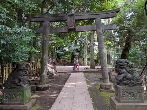 渋谷氷川神社の鳥居