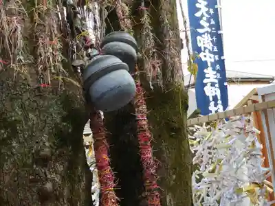 天之御中主神社のその他建物