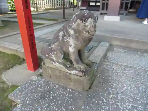 川越八幡宮の狛犬