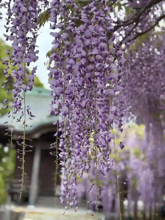 大神宮(福岡県)