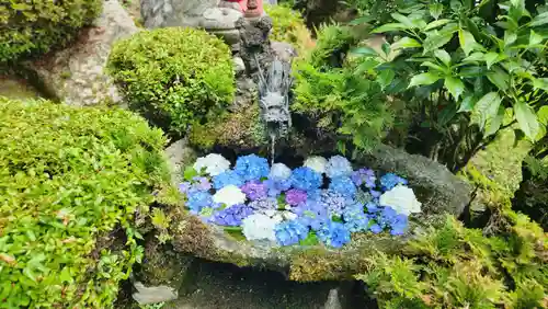 高林寺(福島県)