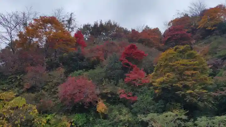 秩父札所三十二番 法性寺(埼玉県)