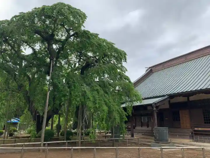 長光寺(千葉県)