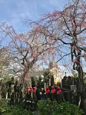 薬師寺　南蔵院 (東京都)