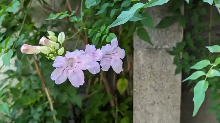 乾窓院(京都府)