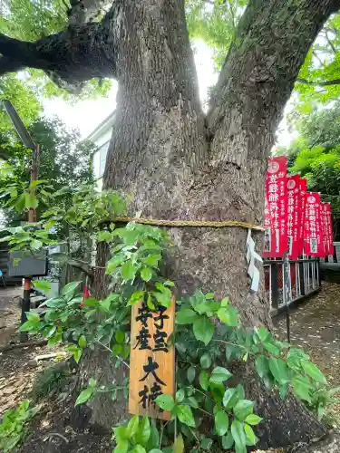 笠䅣稲荷神社(神奈川県)
