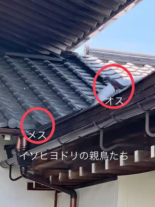 上行寺(静岡県)