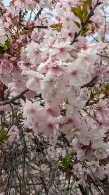 妙蓮寺(京都府)