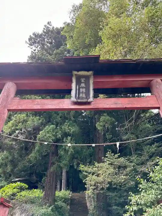 菅原神社(群馬県)