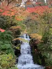 富士山東口本宮 冨士浅間神社の自然