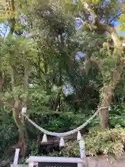 福良八幡神社の自然