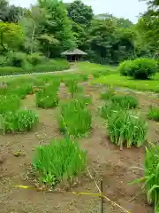 明治神宮(東京都)