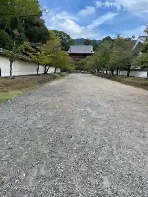 醍醐寺(京都府)