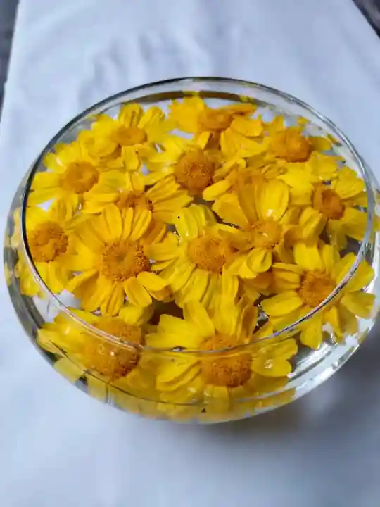 立志神社(滋賀県)