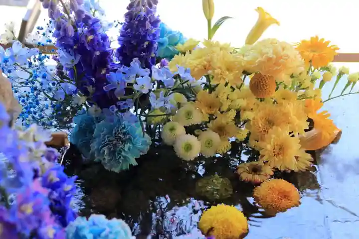 滑川神社 - 仕事と子どもの守り神の手水舎