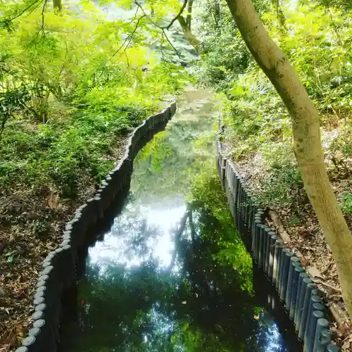 明治神宮の庭園