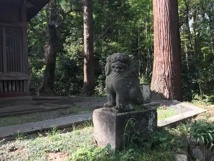 白山神社の狛犬